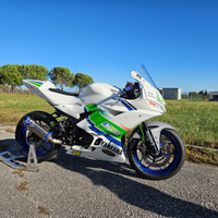 Yamaha r3 pista