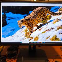 Monitor LCD HANNS-G HP246PDB 24 Pollici