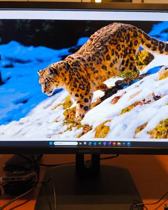 Monitor LCD HANNS-G HP246PDB 24 Pollici