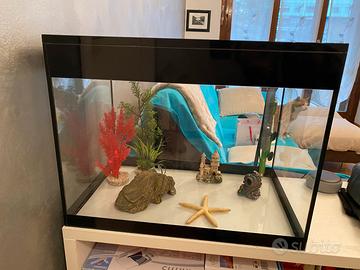 Acquario Askoll 68 litri