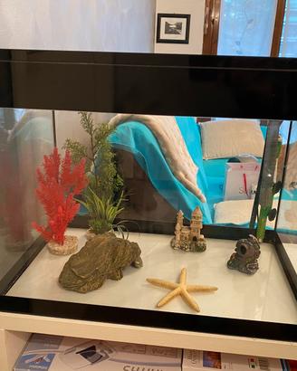 Acquario Askoll 68 litri