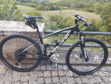 Mtb Olympia Drake 29