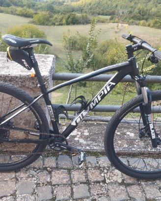 Mtb Olympia Drake 29