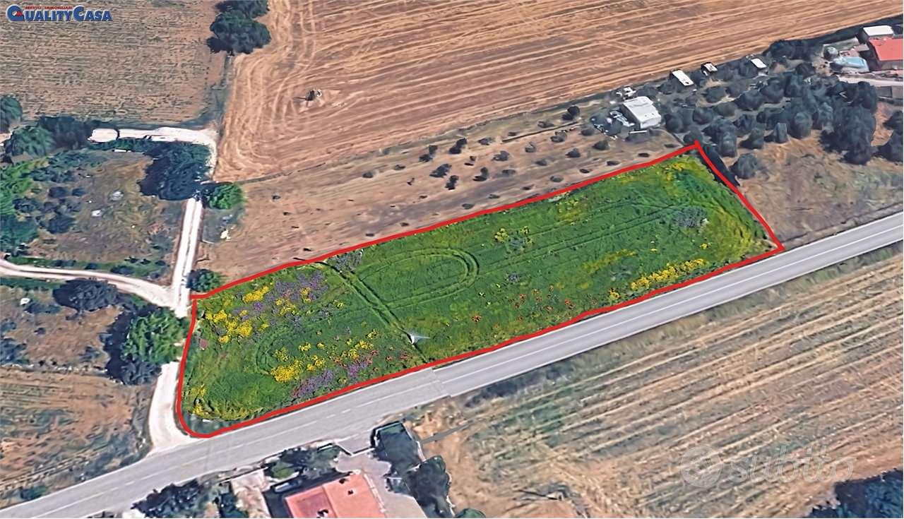 Terreno agricolo a Monte San Vito - Vista 4