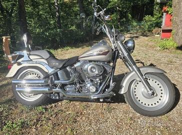 Harley-davidson Fat Boy 1584 2007