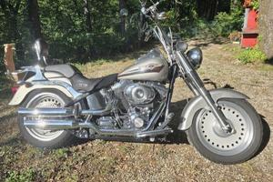 Harley-davidson Fat Boy 1584 2007