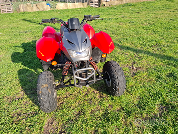 Quad Atv 50 cc 2T Omologato anche per la strada