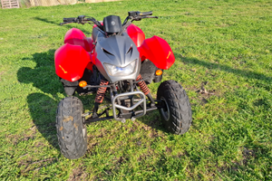 Quad Atv 50 cc 2T Omologato anche per la strada