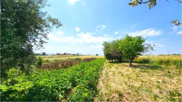 TERRENO AGRICOLO in OT TIMA POSIZIONE PIANEGGIANTE