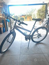 Bicicletta bambina