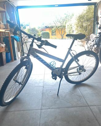 Bicicletta bambina