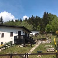 Splendida abbinata immersa nel bosco