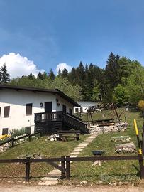 Splendida abbinata immersa nel bosco