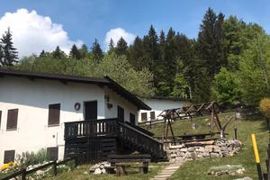 Splendida abbinata immersa nel bosco