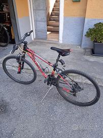 bici mountain bike