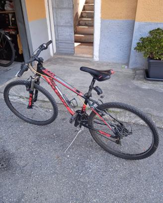 bici mountain bike