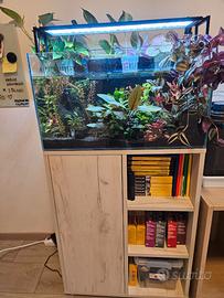 Acquario completo