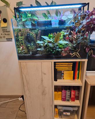 Acquario completo