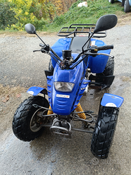 Quad usata in vendita in Piemonte