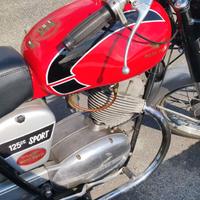 Moto Guzzi Stornello 125 Sport America