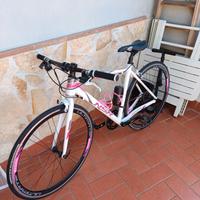 bicicletta