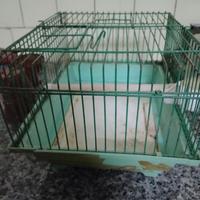gabbietta per roditori 