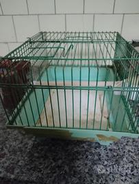 gabbietta per roditori 