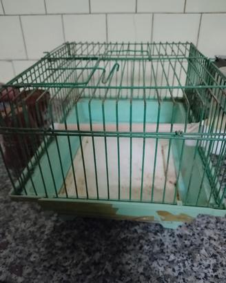 gabbietta per roditori 