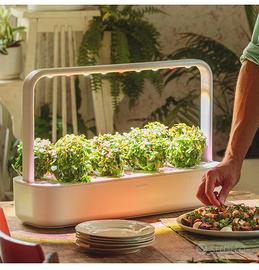 Serra idroponica click & grow