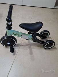 Triciclo evolutivo