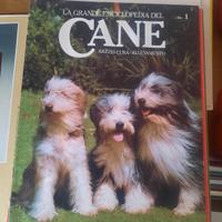 enciclopedia del cane