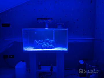 Nano reef tank