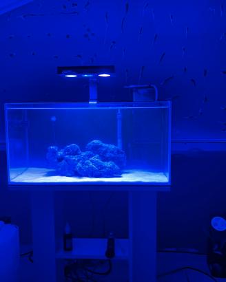 Nano reef tank