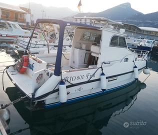 Barca da pesca RIO 800 Fish
