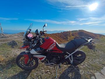 Triumph Tiger 900gtpro Aragon edition
