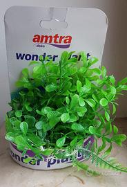 PIANTA ARREDO ACQUARIO AMTRA