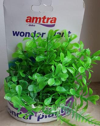 PIANTA ARREDO ACQUARIO AMTRA