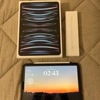 Ipad PRO 11 pollici