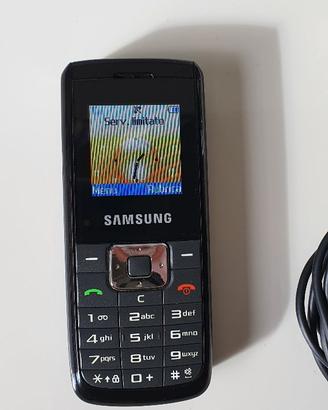 Samsung SGH-B100