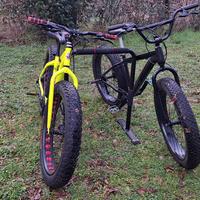 Fat Bike insieme o singolarmente 