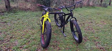 Fat Bike insieme o singolarmente 