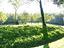 Immagine 13