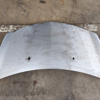 Cofano Renault Clio 2010