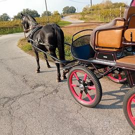 LIPIZZANO SELLA E ATTACCHI 