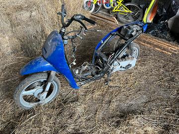Smembro Piaggio free