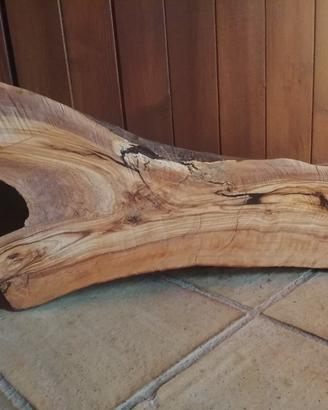 fetta di legno di ulivo 