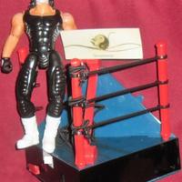 Action figure vintage 90s Wrestling wcw Sting ring