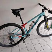 mtb specialized