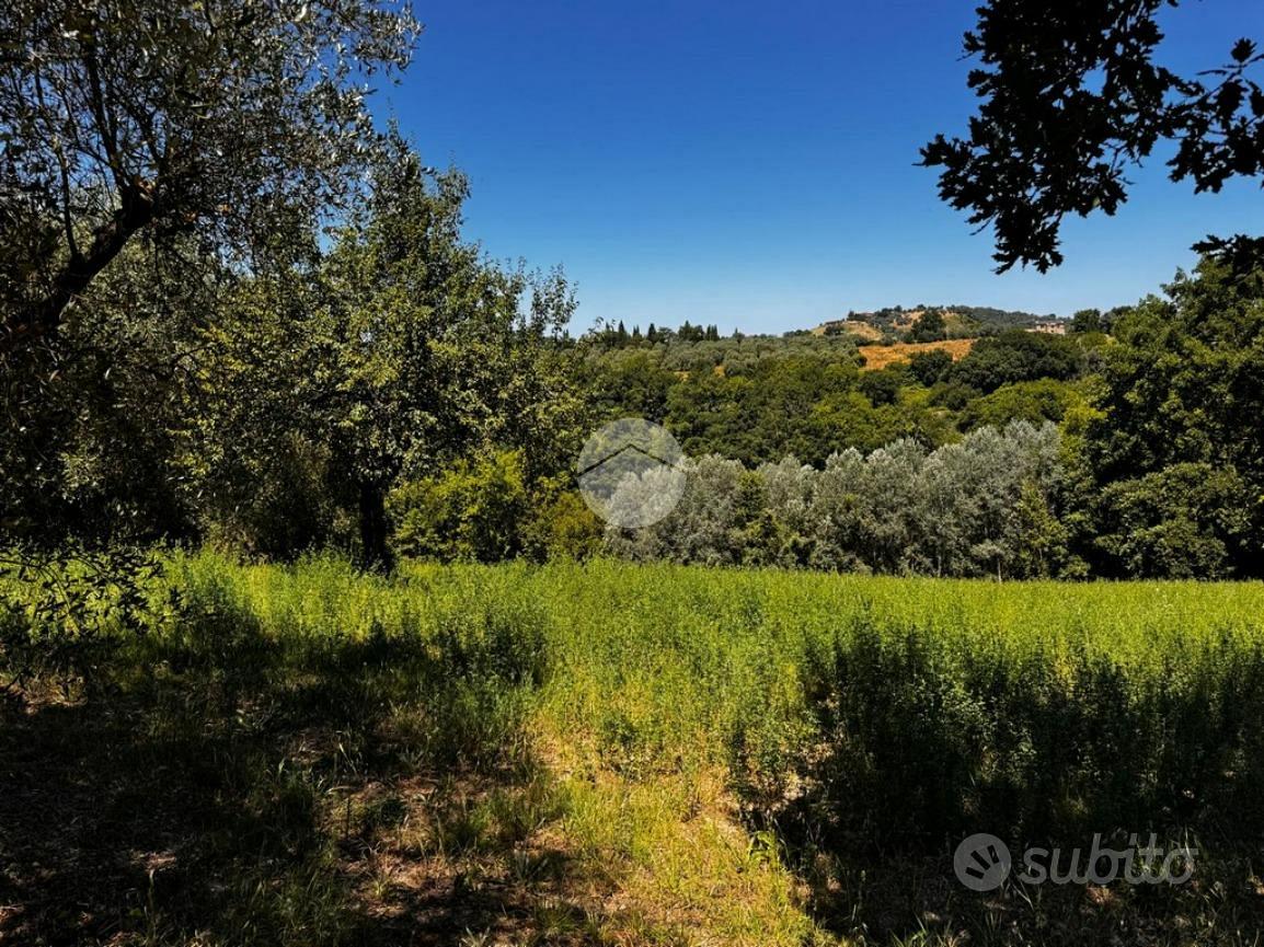TER. AGRICOLO A MONTEBUONO - Vista 4