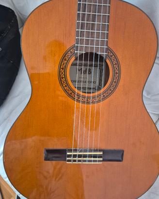 Chitarra classica 